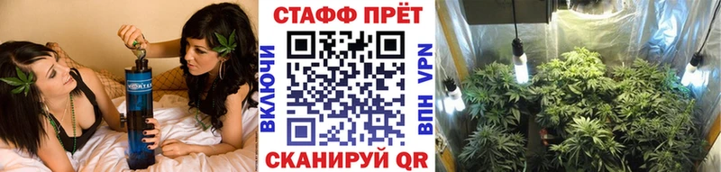 Виды наркоты Красноперекопск Кокаин Псилоцибиновые грибы Мефедрон ГАШ Каннабис