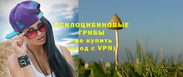 амф Заводоуковск
