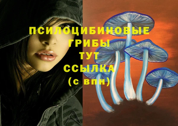 ECSTASY Абаза