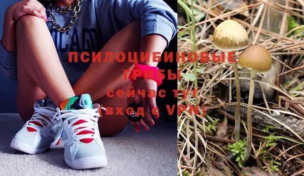 ECSTASY Абаза