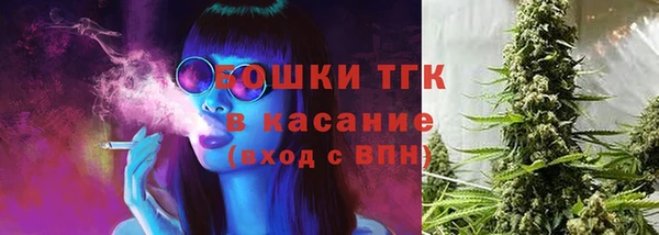 гидра Алексин