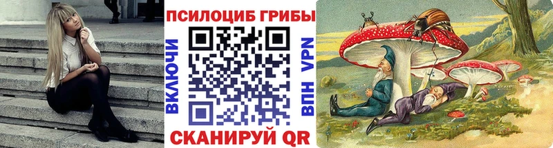 где найти наркотики  Красноперекопск  KRAKEN ССЫЛКА  Псилоцибиновые грибы Cubensis 