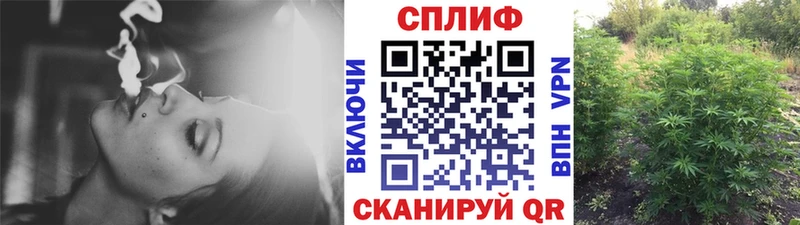 Бошки марихуана Amnesia  Красноперекопск 